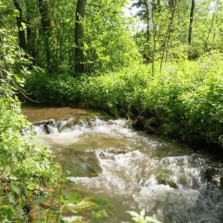 Charming Holiday Home In Malmedy With Sauna Zewnętrze zdjęcie