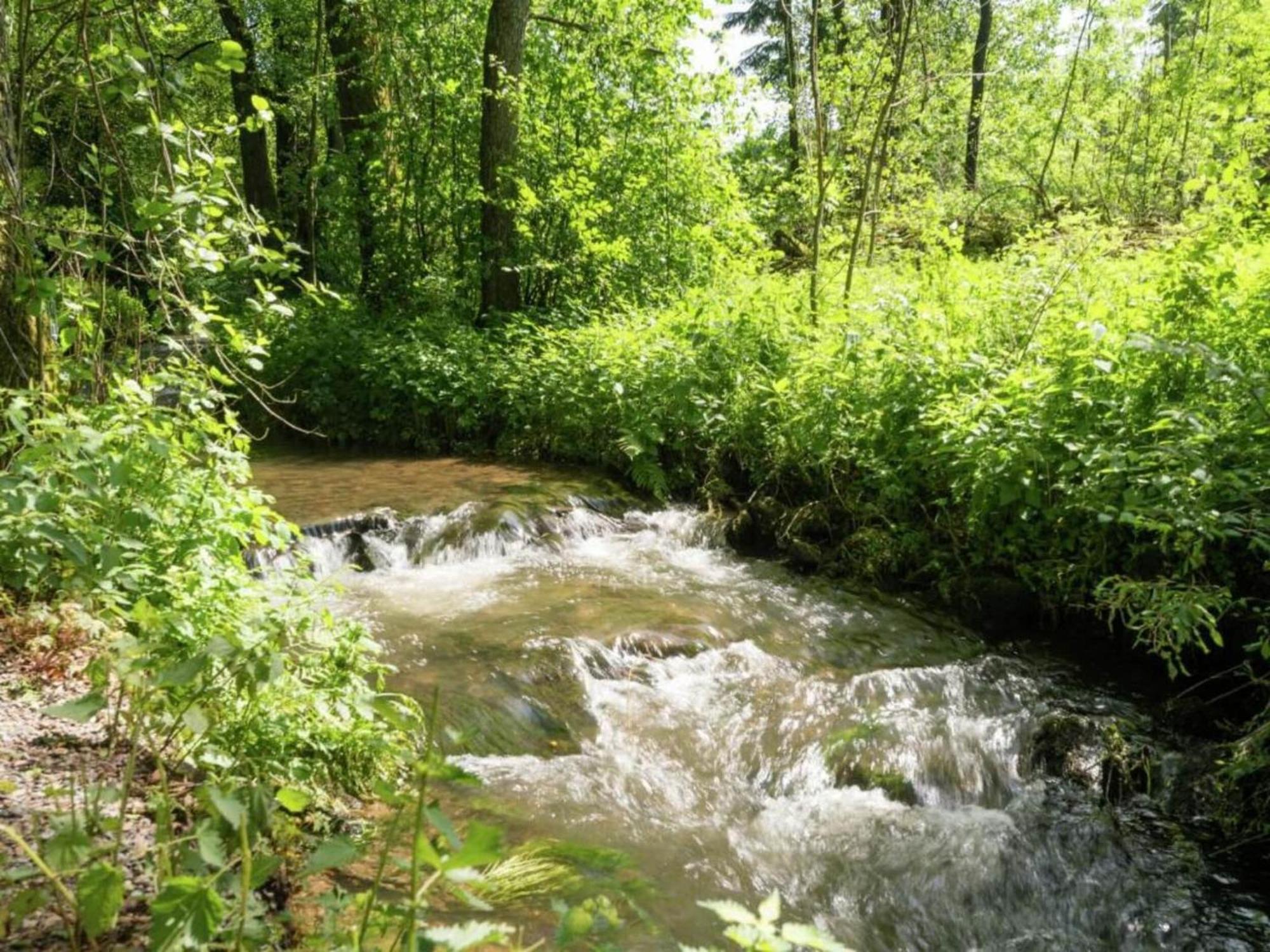 Charming Holiday Home In Malmedy With Sauna Zewnętrze zdjęcie